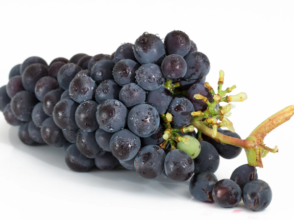 UVA MOSCATO AMBURGO (foto)