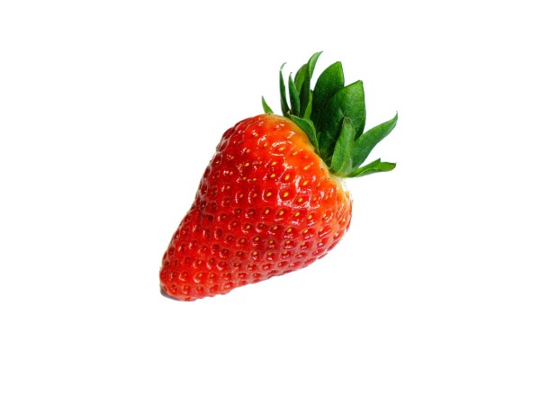 Fragole vaschetta 500 gr bio (foto)