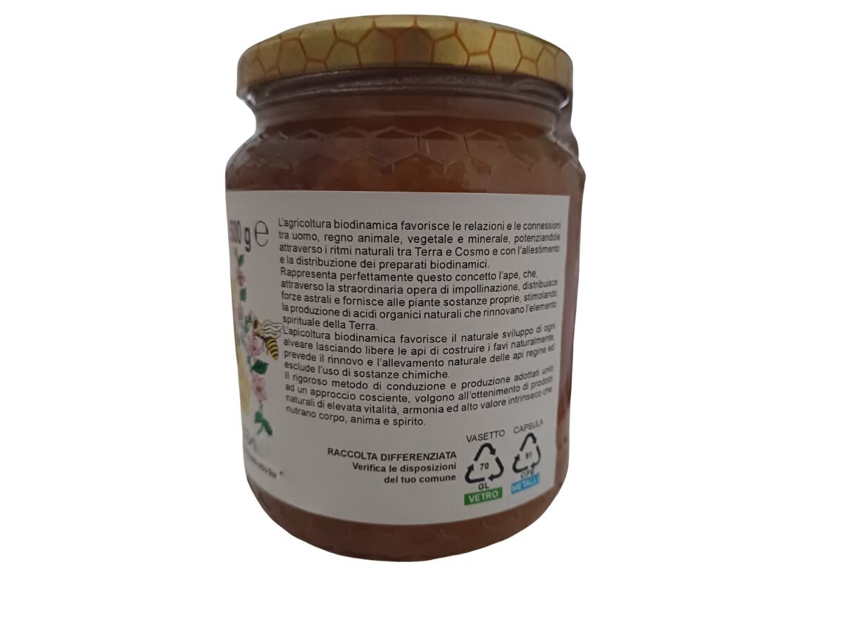 etichetta 1 MIELE MILLEFIORI DI MONTAGNA BIO BIODINAMICO 500 GR
