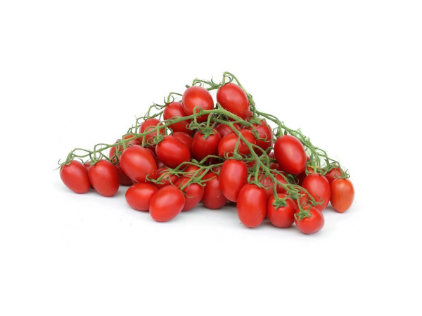 Pomodoro datterino bio (foto)