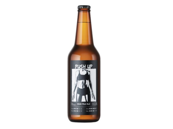 BIRRA PUSH UP IPA 33 CL (foto)