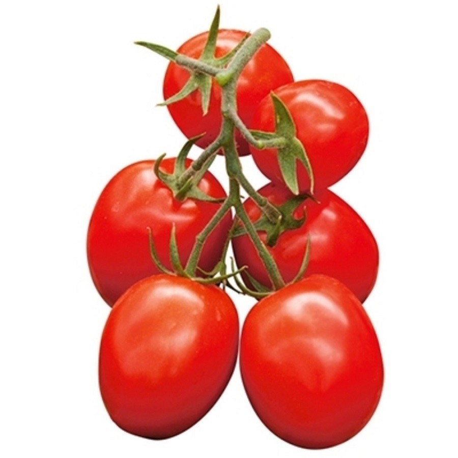 foto 1 POMODORO SALSA