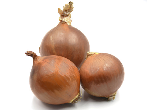 CIPOLLA BIONDA (foto)