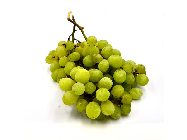 Uva bianca bio (foto)