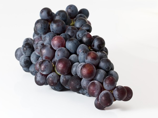 UVA NERA (foto)