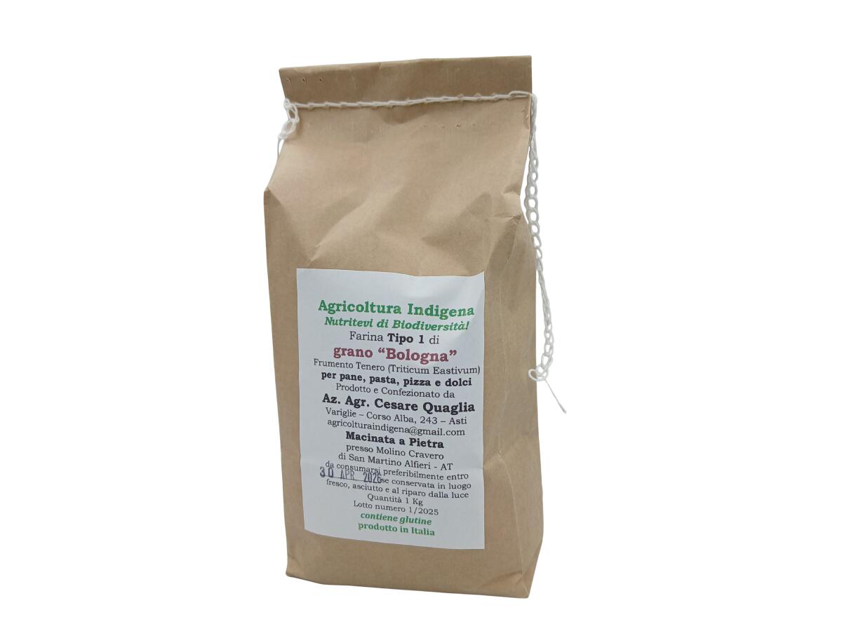 foto 1 FARINA TIPO 1 DI GRANO BOLOGNA 1 KG