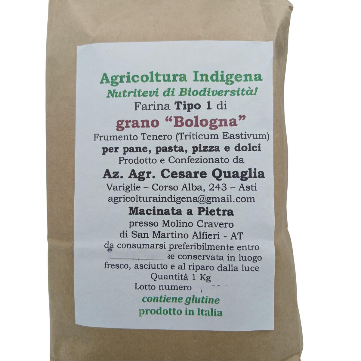 etichetta 1 FARINA TIPO 1 DI GRANO BOLOGNA 1 KG