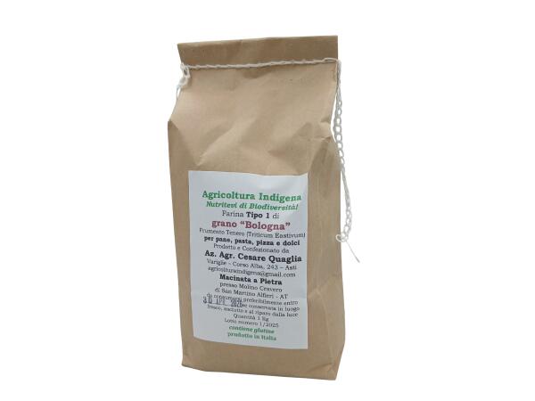 FARINA TIPO 1 DI GRANO BOLOGNA 1 KG (foto)