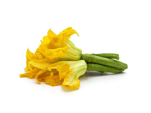 Zucchina chiara con fiore bio (foto)