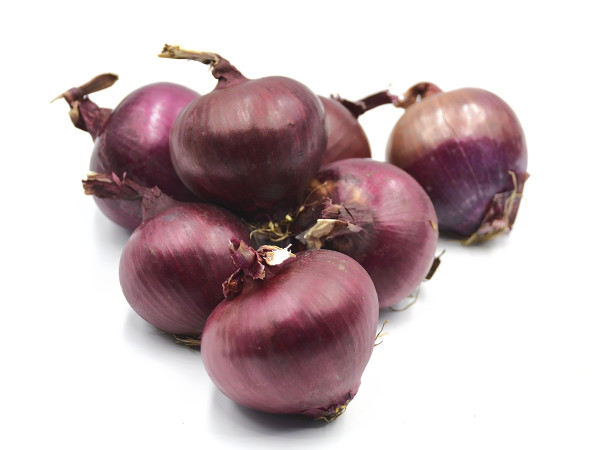 Cipolla rossa bio (foto)