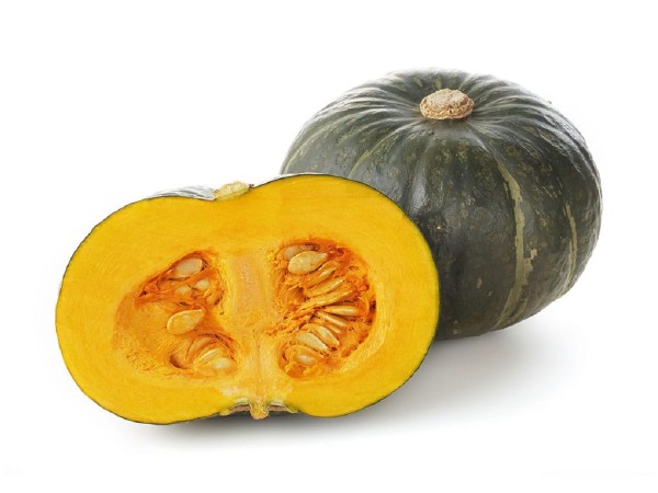 ZUCCA DELICA (foto)
