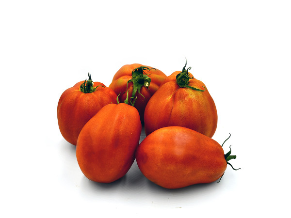 Pomodoro cuore di bue bio (foto)