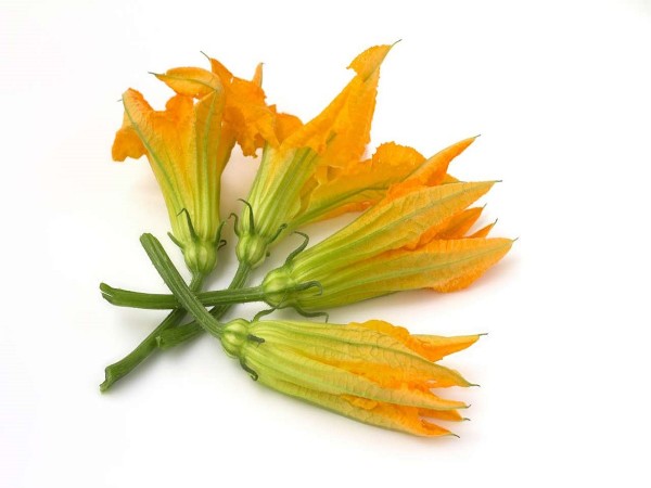 FIORI DI ZUCCHINA 10 PZ (foto)
