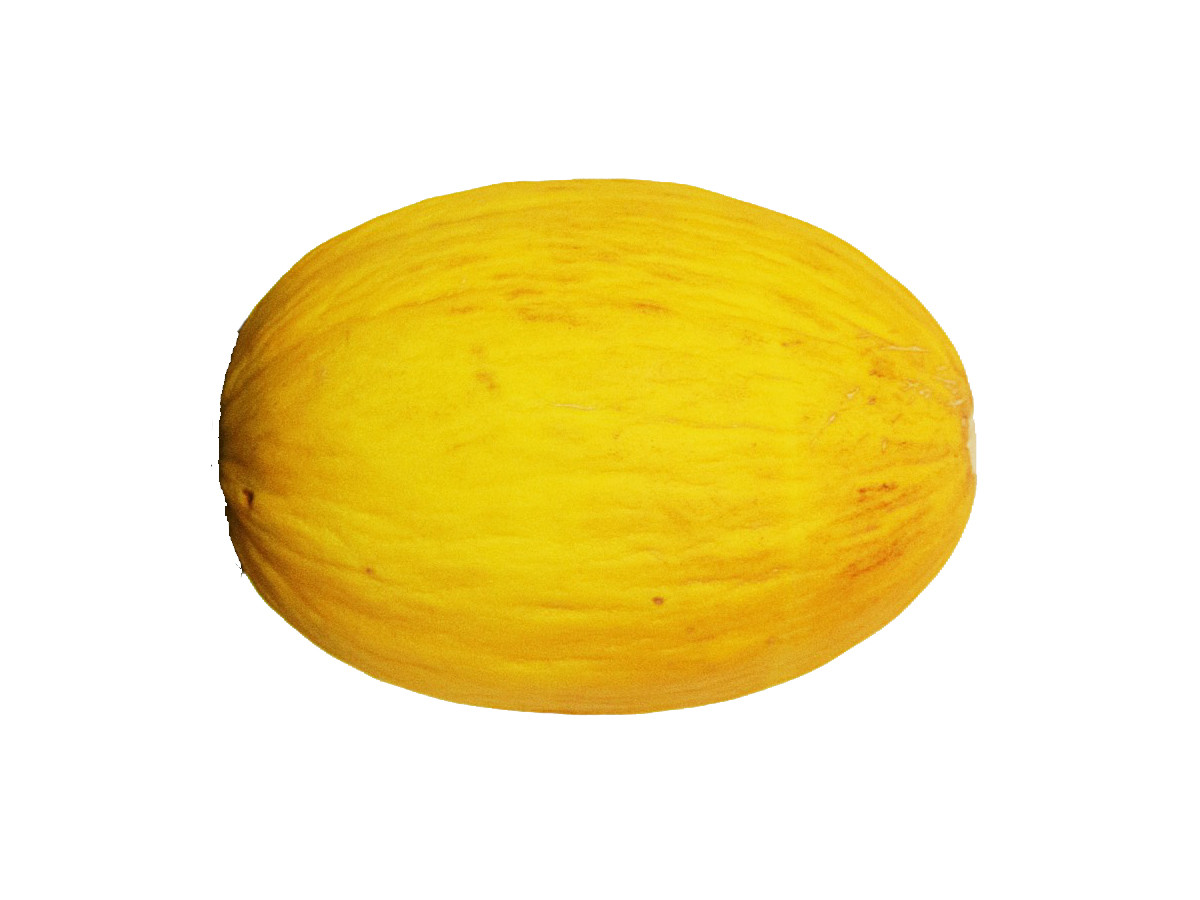 foto 1 MELONE GIALLO