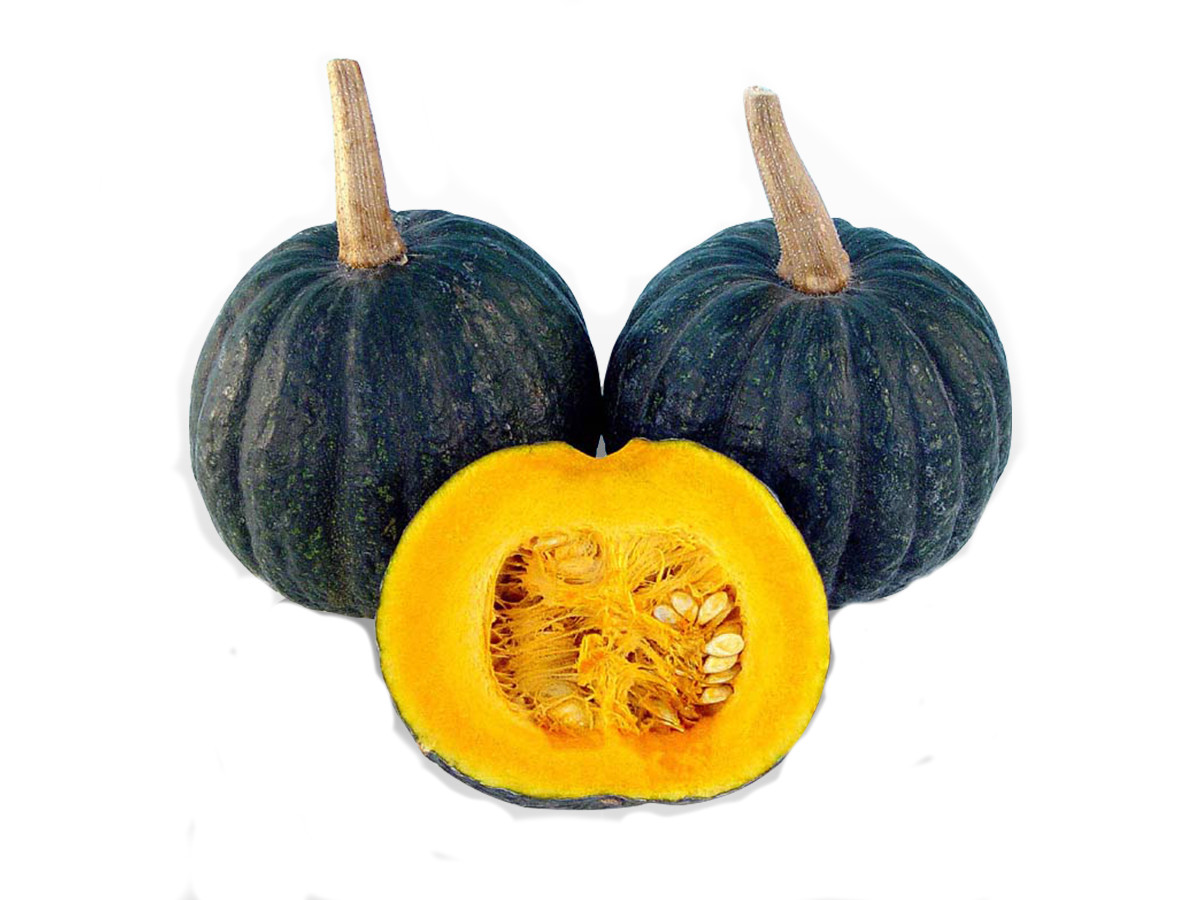 foto 1 ZUCCA IRON CUP