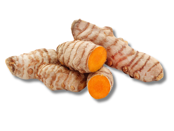 CURCUMA (foto)