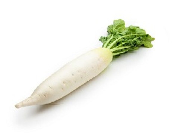 DAIKON (foto)
