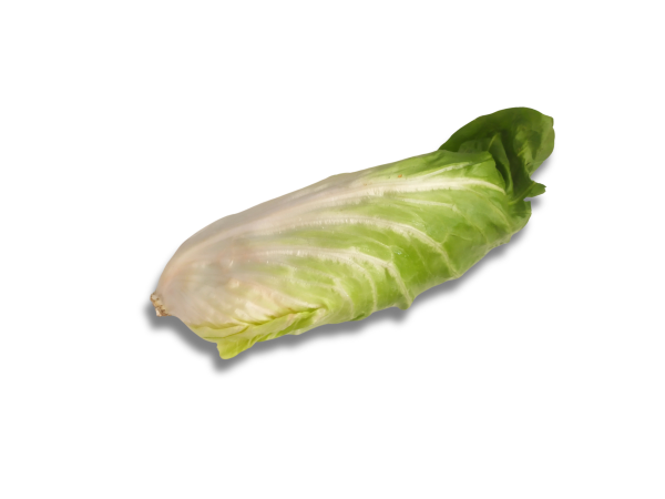 PAN DI ZUCCHERO (foto)