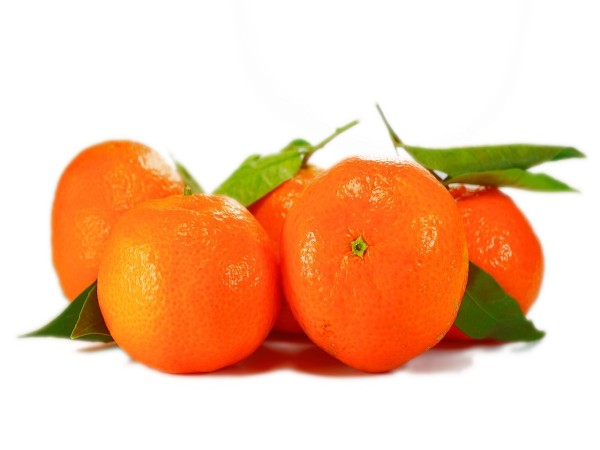 Clementine bio (foto)