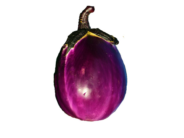 Melanzana tonda viola bio (foto)
