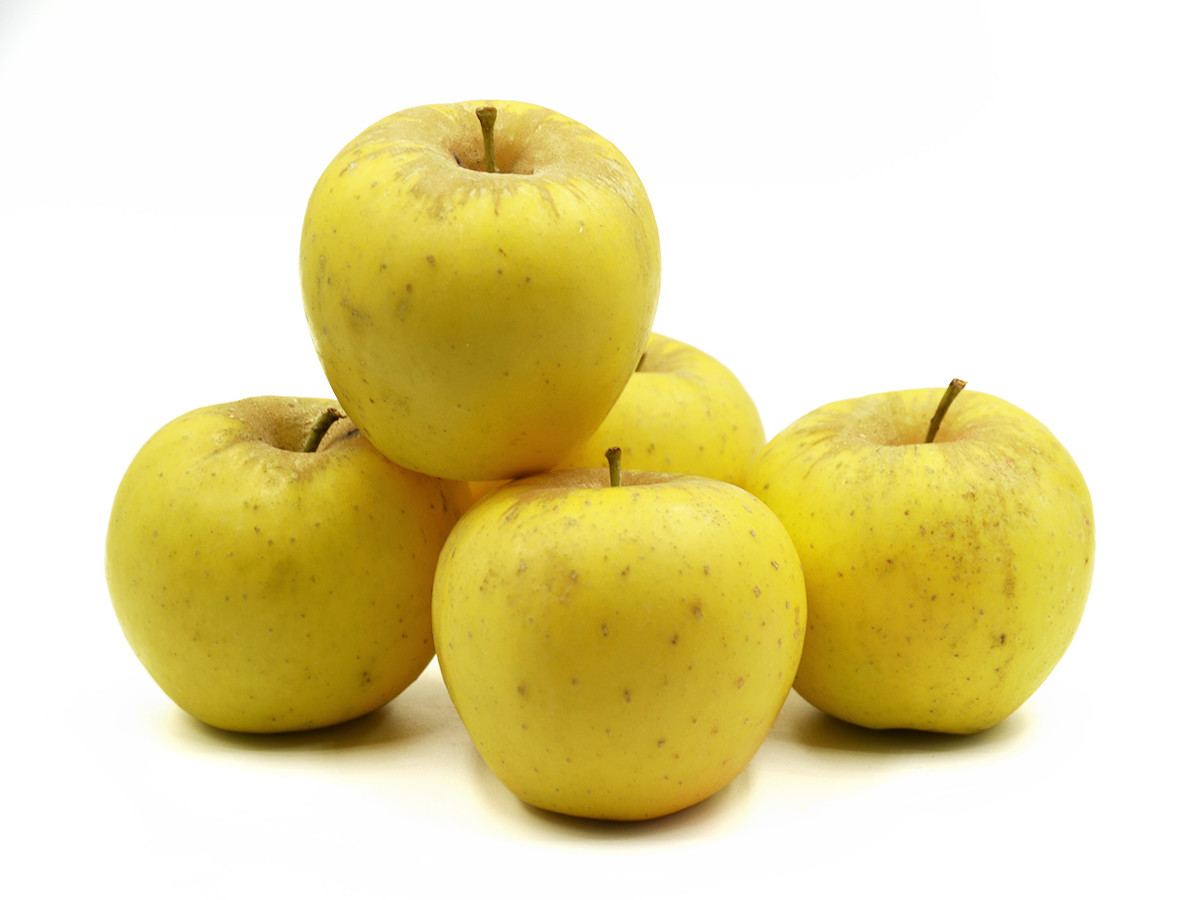 foto 1 MELA GOLDEN OP