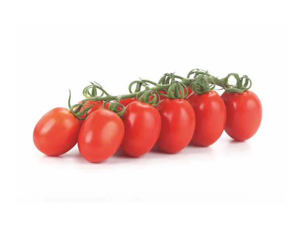 Pomodoro piccadilly bio (foto)