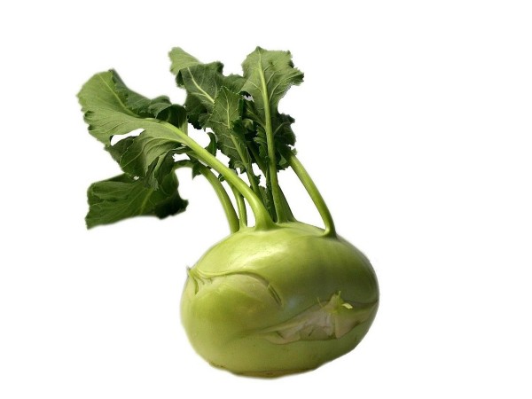 CAVOLO RAPA BIANCO (foto)