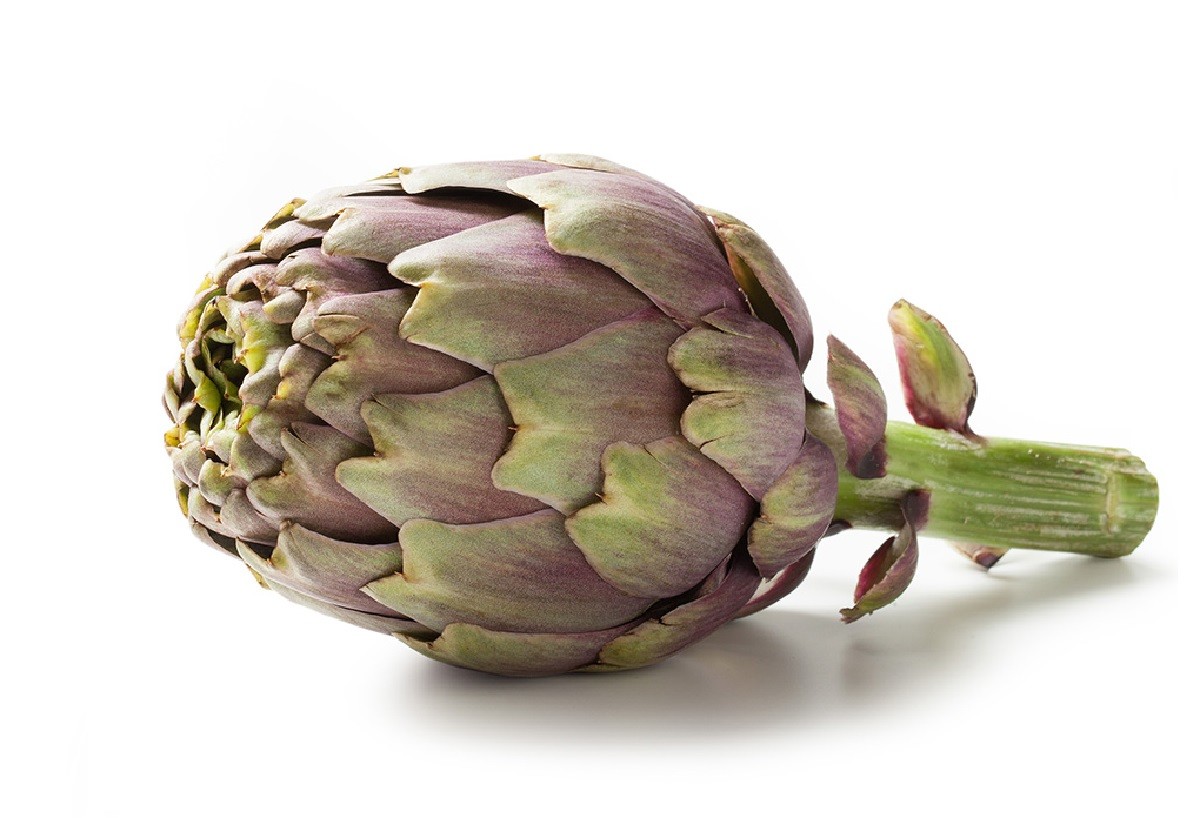 foto 1 CARCIOFO THEMA