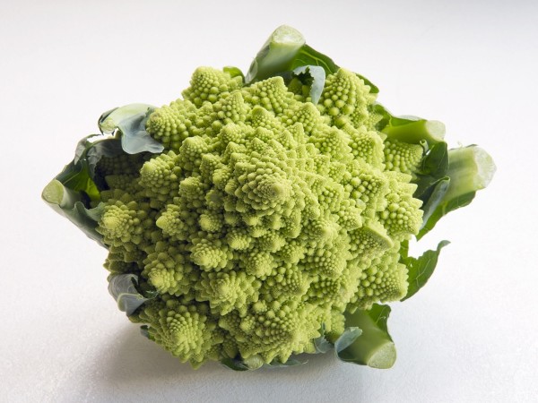 Cavolfiore romanesco bio (foto)