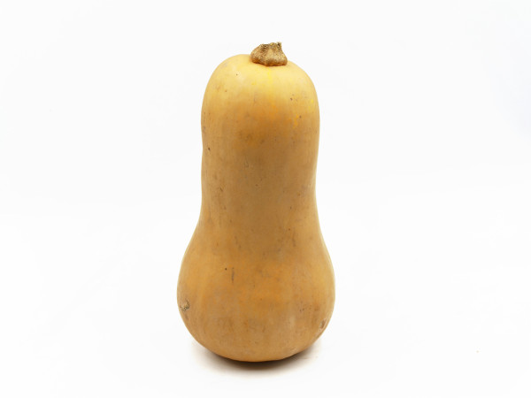 ZUCCA BUTTERNUT (foto)