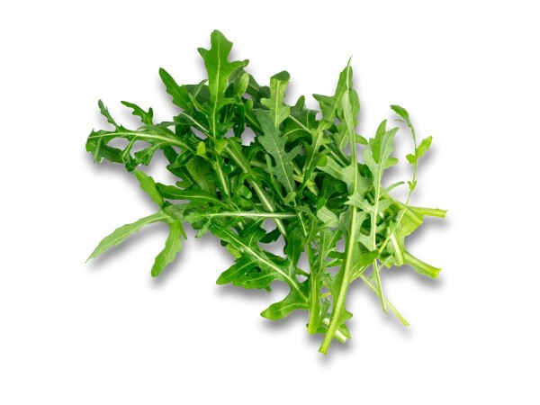 RUCOLA A MAZZI (foto)