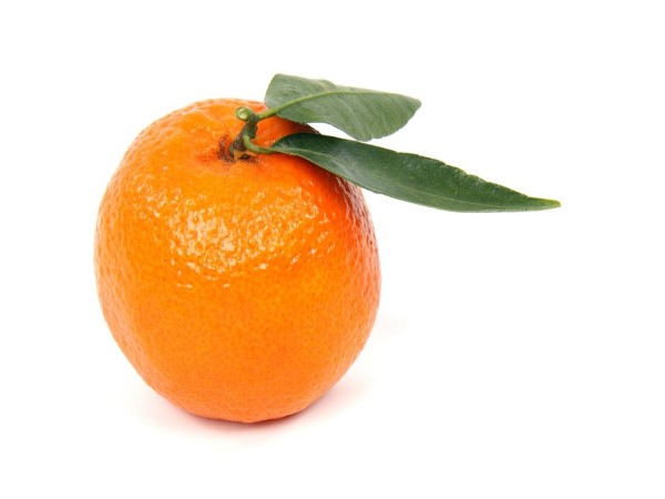Mandarino bio (foto)