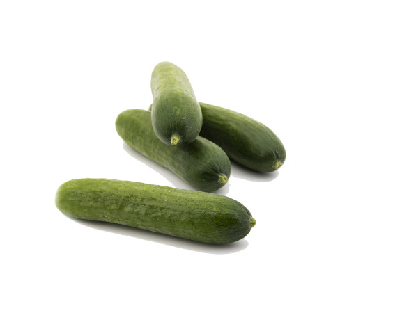 Cetriolo bio (foto)