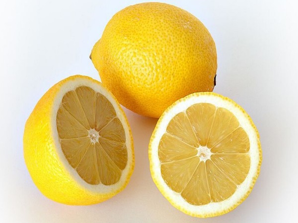 Limone primofiore bio (foto)