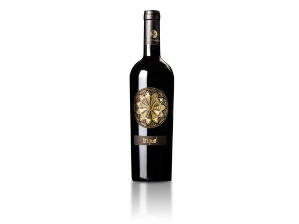 TRINUS IGP NERO DI TROIA 2015 0,75 LT (foto)